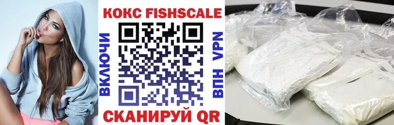 купить   мега ссылка  COCAIN Fish Scale  Калининск 