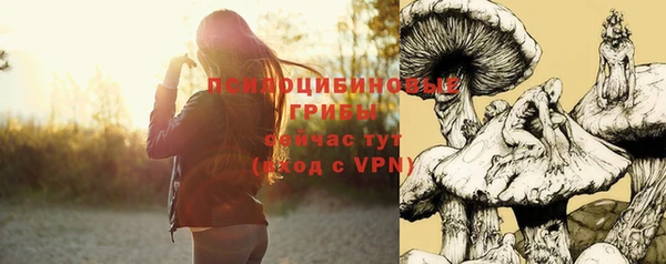 прущие крисы Алексеевка