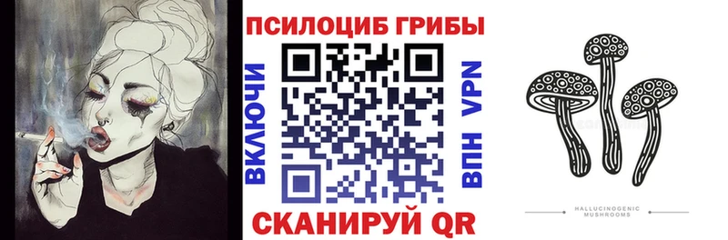 ссылка на мегу ссылки  Калининск  Псилоцибиновые грибы прущие грибы  купить  